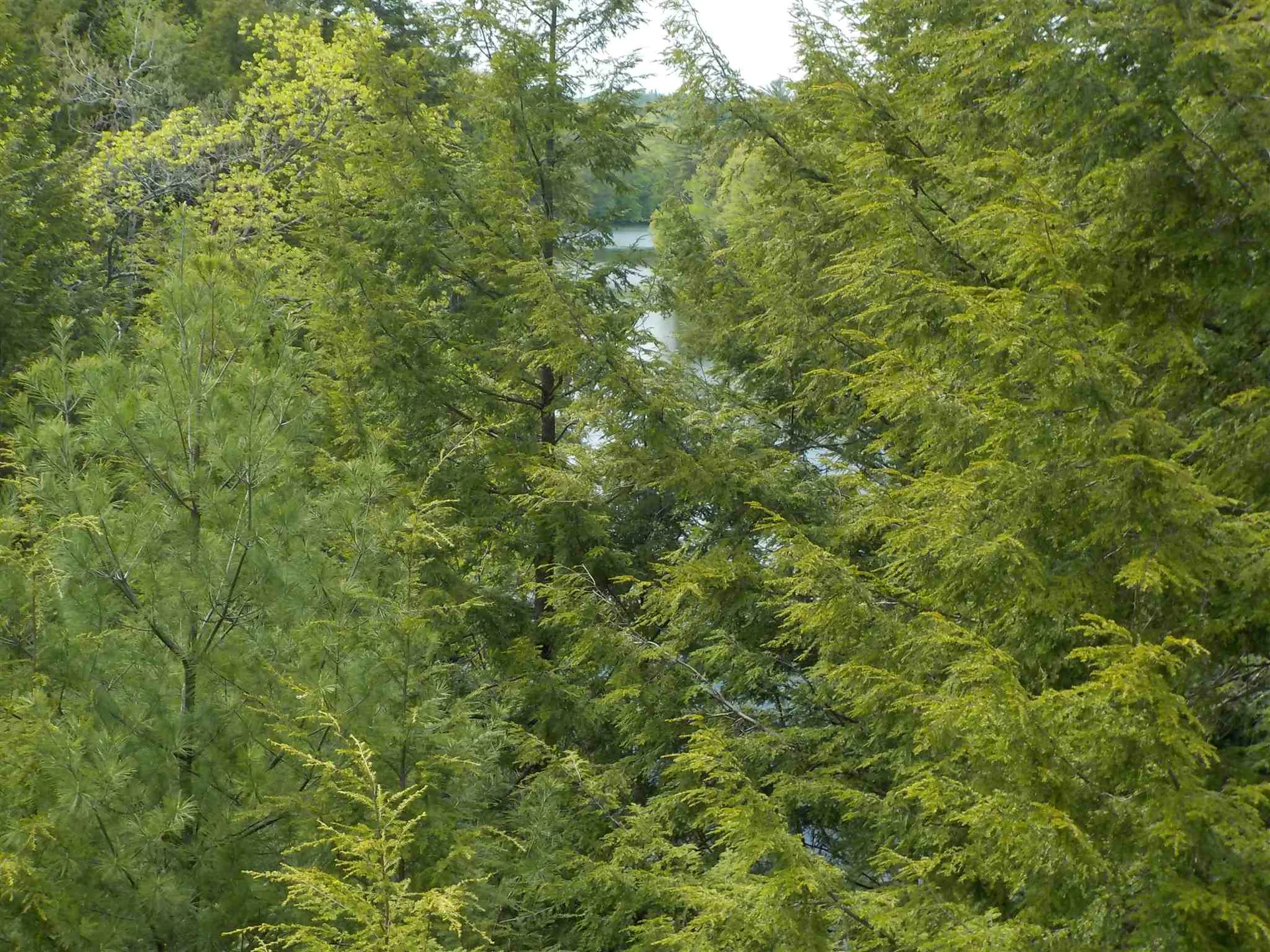 00 Old Bristol Road New Hampton NH 03256