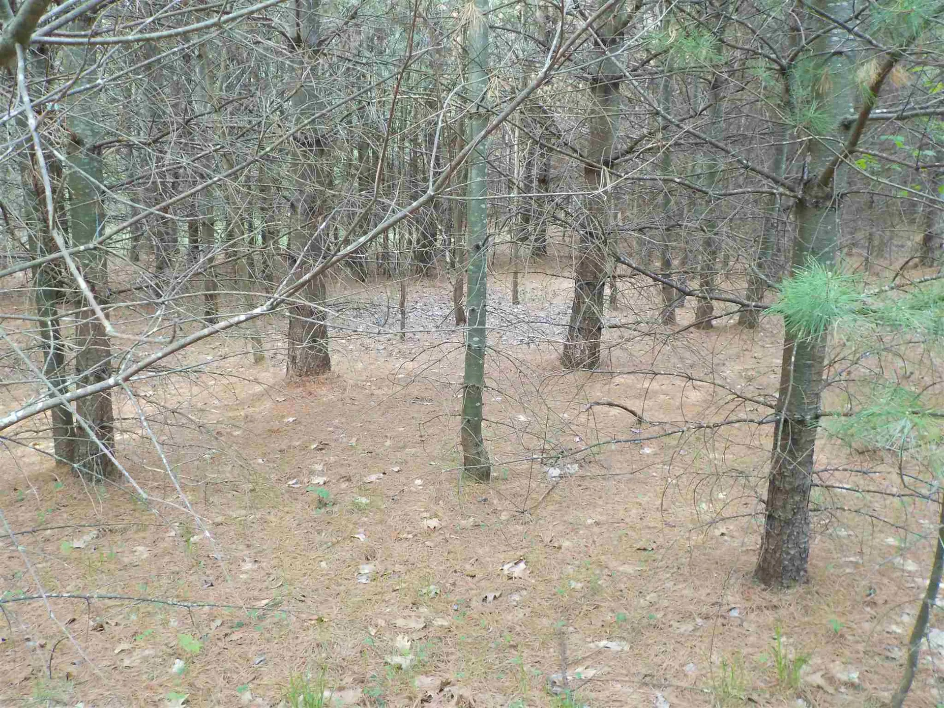 00 Old Bristol Road New Hampton NH 03256