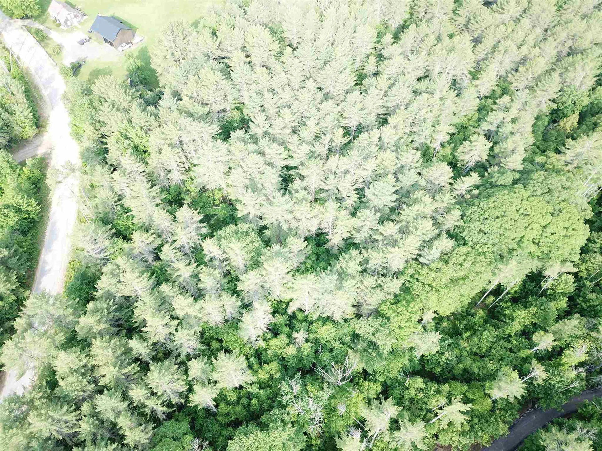 00 Old Bristol Road New Hampton NH 03256