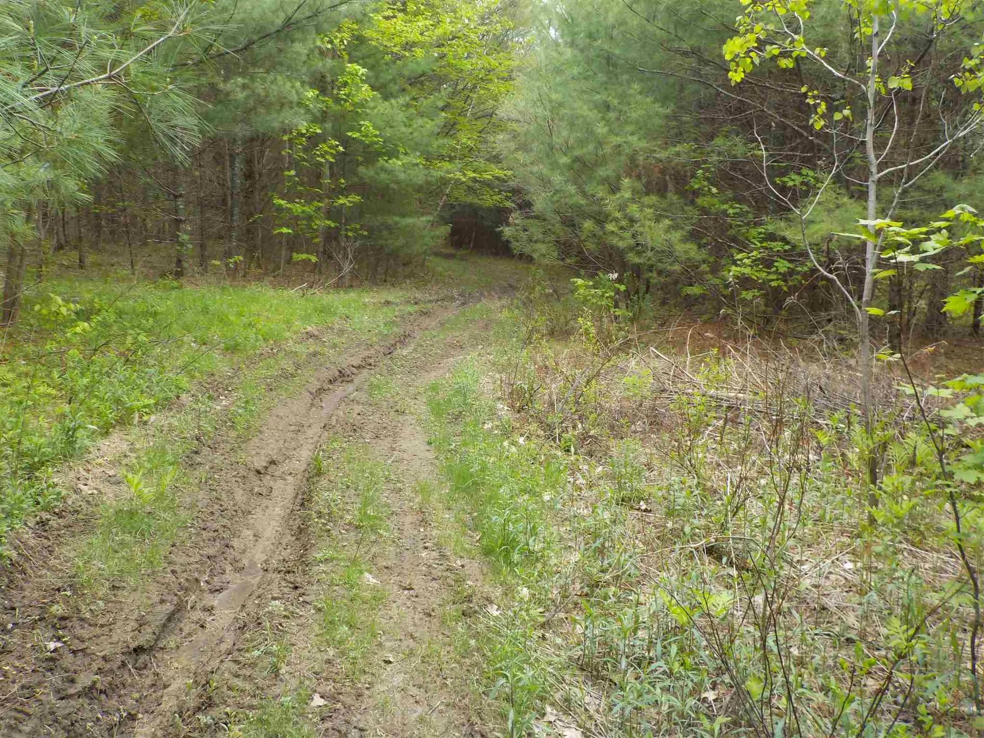 00 Old Bristol Road New Hampton NH 03256