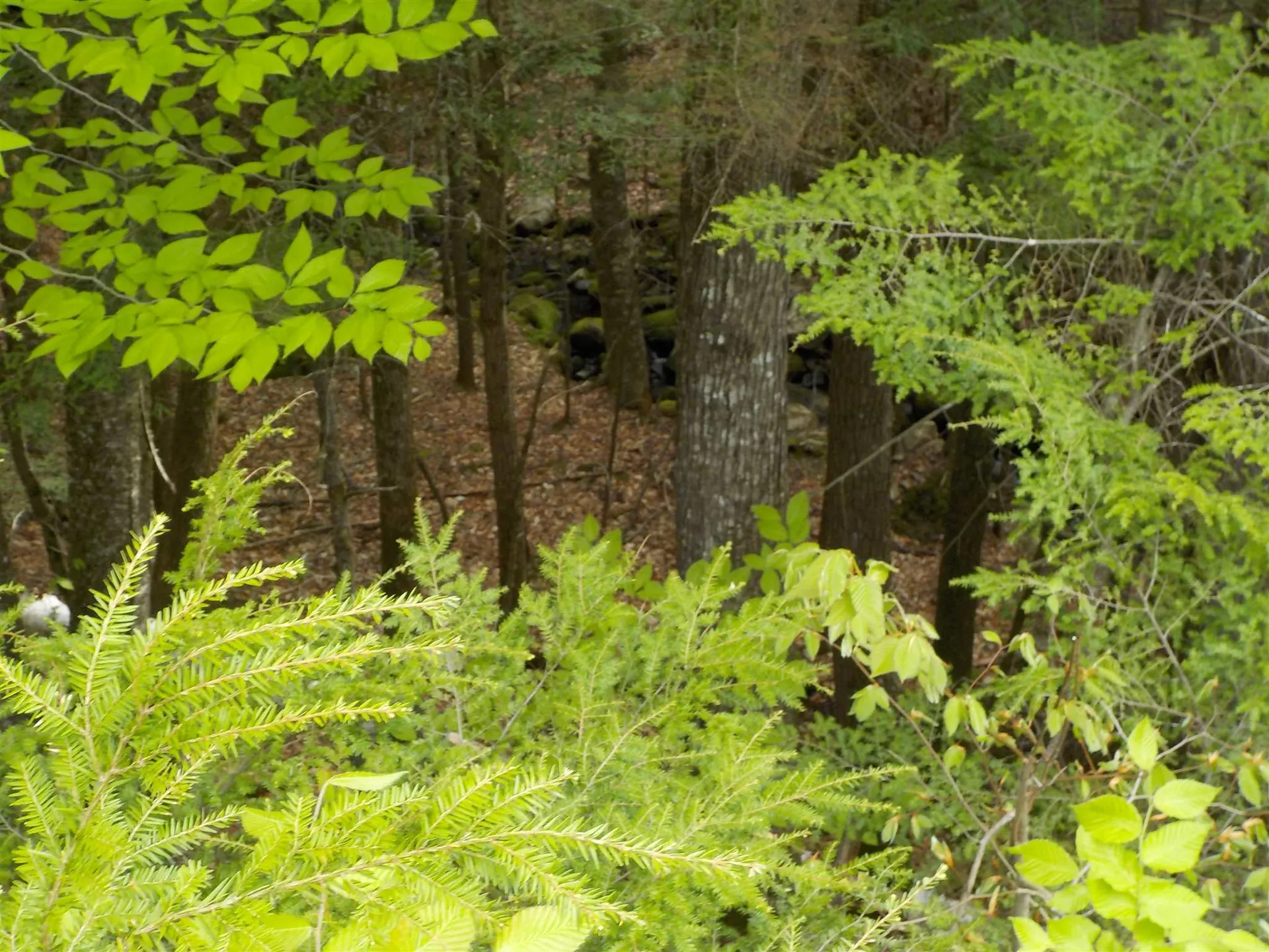 00 Old Bristol Road New Hampton NH 03256