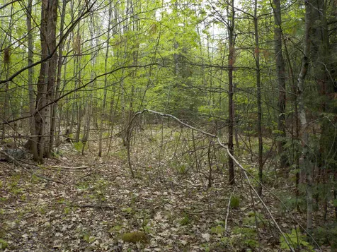 00 Old Bristol Road New Hampton NH 03256