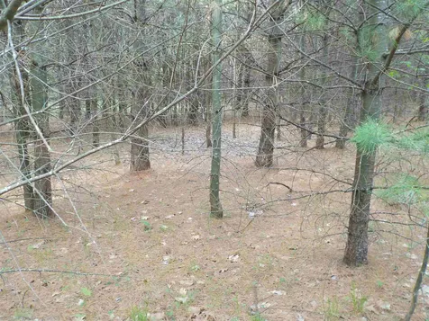 00 Old Bristol Road New Hampton NH 03256