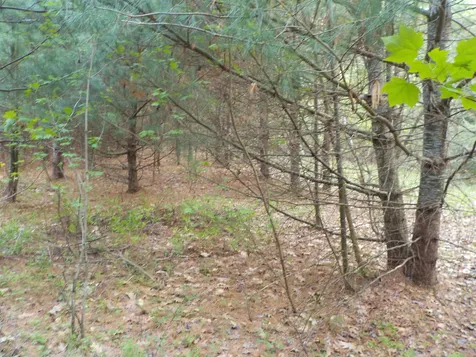 00 Old Bristol Road New Hampton NH 03256