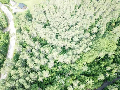 00 Old Bristol Road New Hampton NH 03256