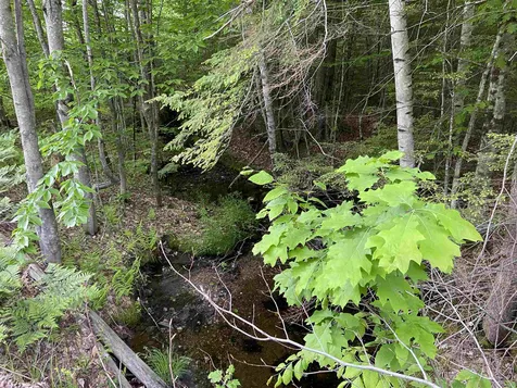 00 Old Bristol Road New Hampton NH 03256