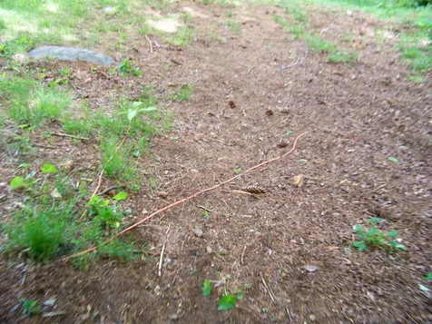 265 Jerusalem Road Canaan NH 03741