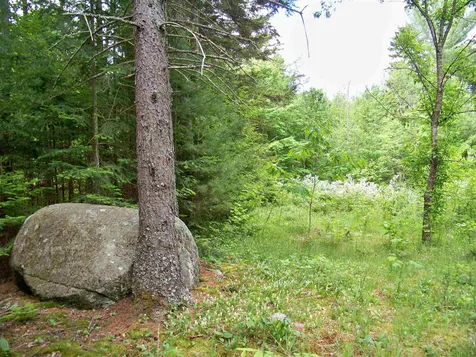 265 Jerusalem Road Canaan NH 03741