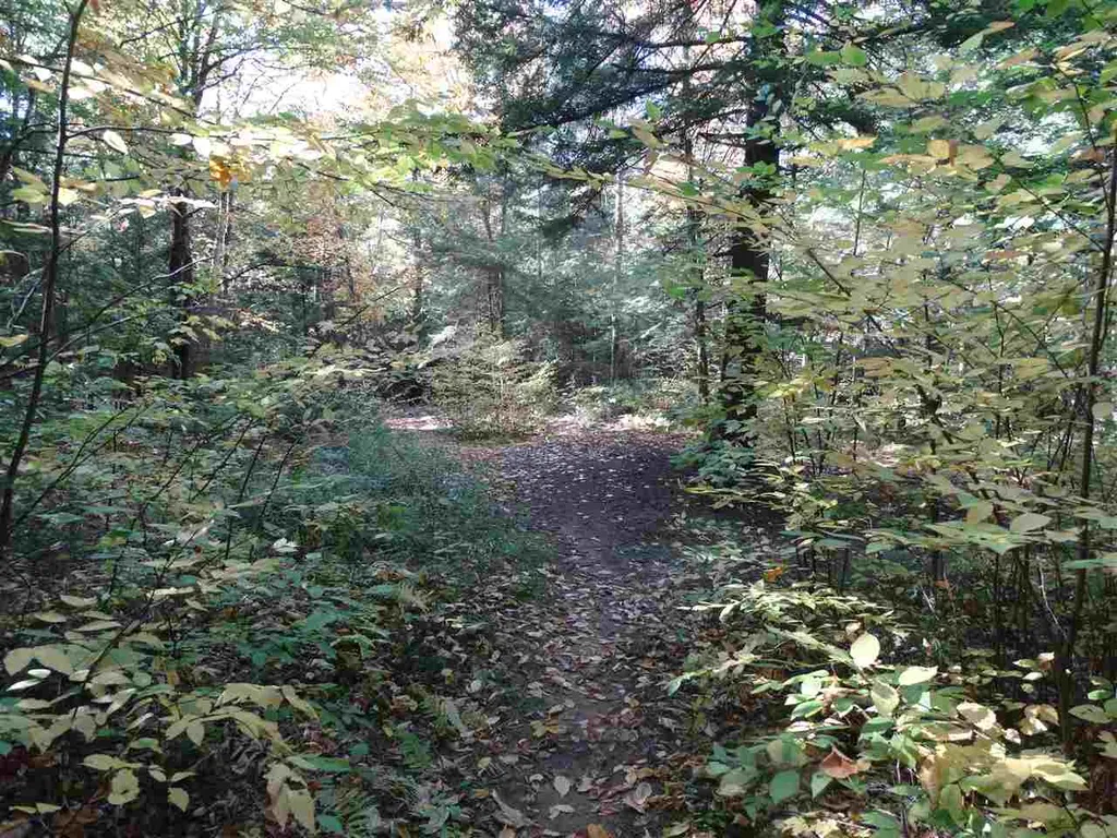 725 Southview Drive Richmond VT 05477