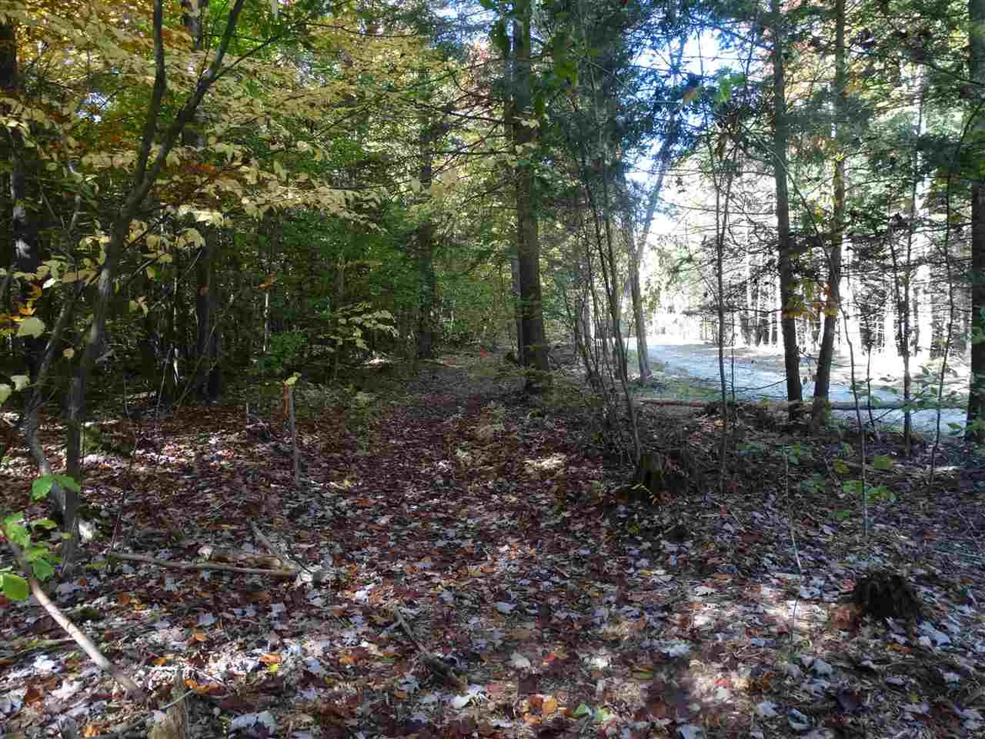 725 Southview Drive Richmond VT 05477