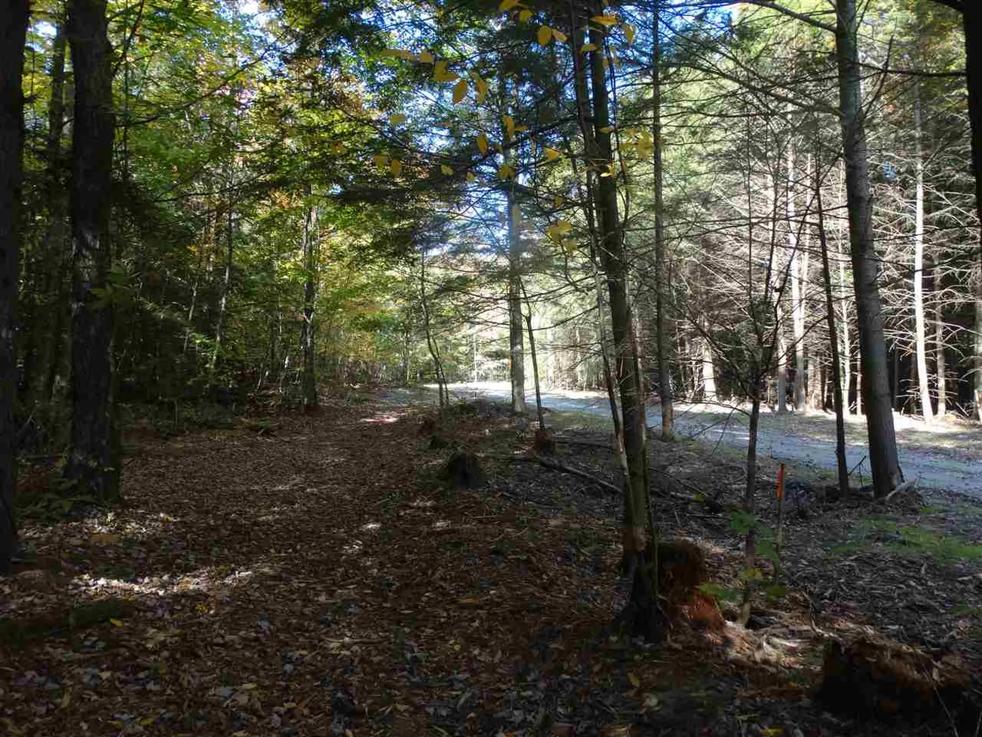 725 Southview Drive Richmond VT 05477