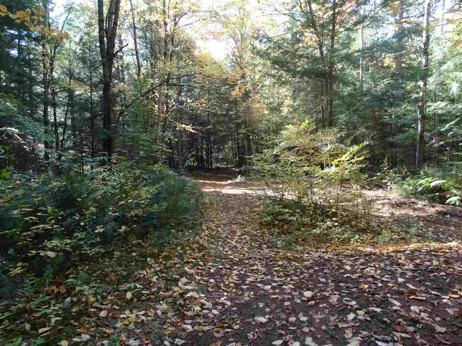 725 Southview Drive Richmond VT 05477