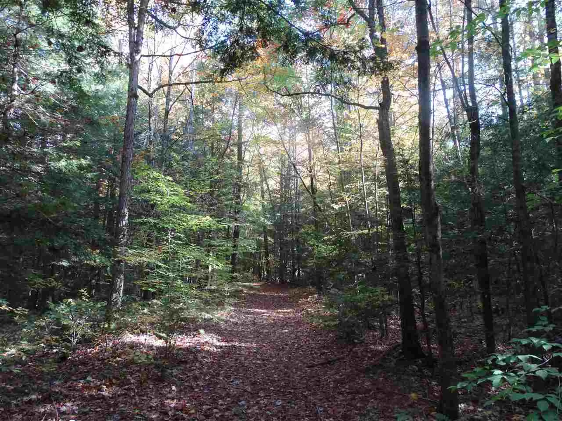 725 Southview Drive Richmond VT 05477