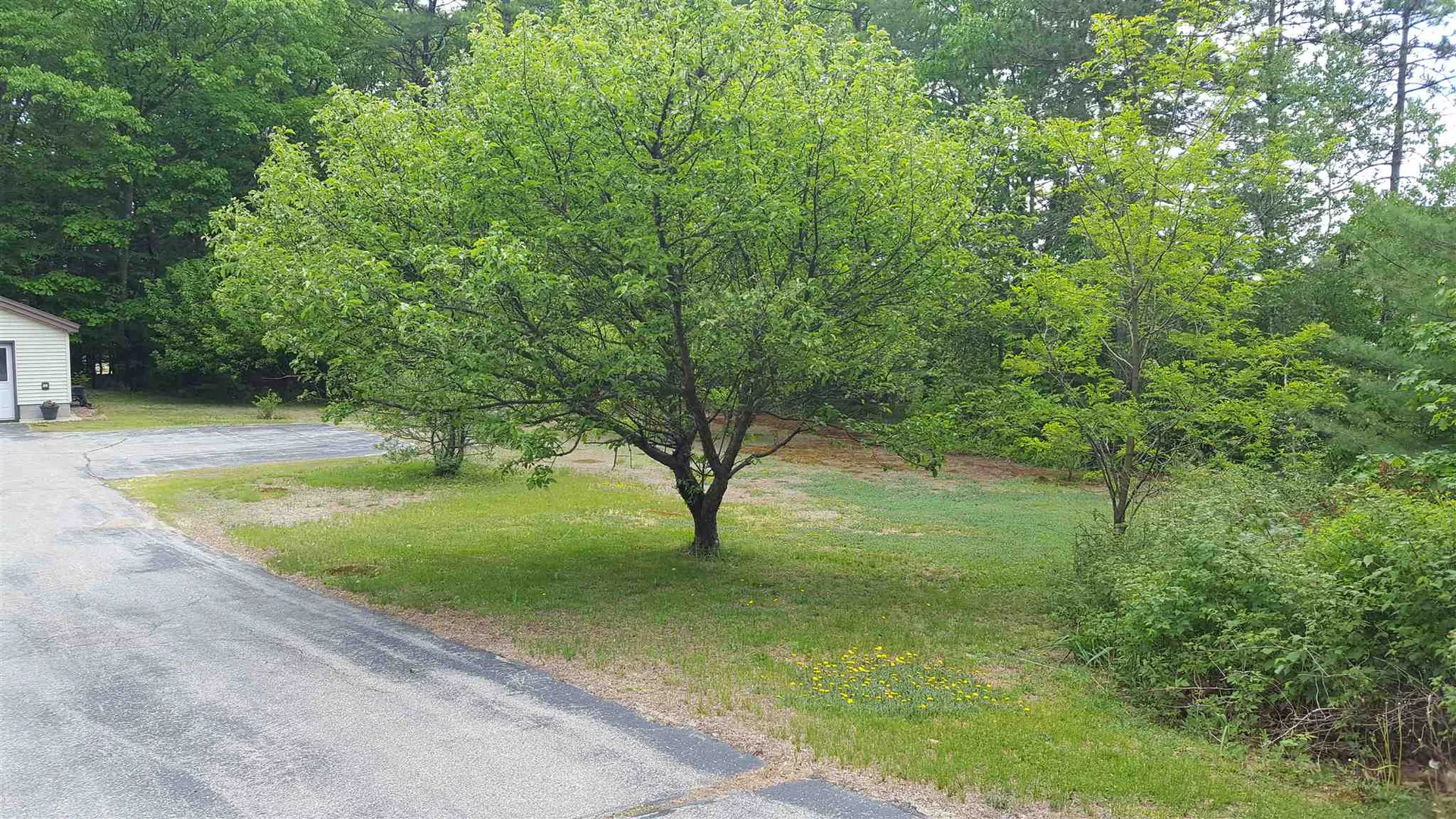 551 White Mountain Highway Tamworth NH 03886