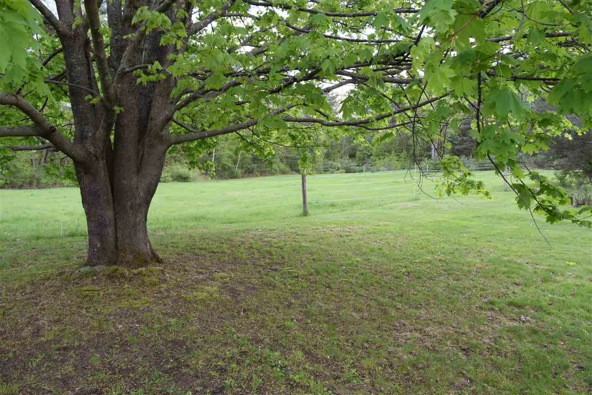 392 Beaver Pond Road Salisbury VT 05769
