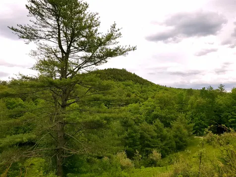 365 Dodge Road Chester VT 05143