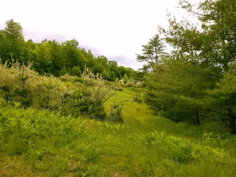 365 Dodge Road Chester VT 05143