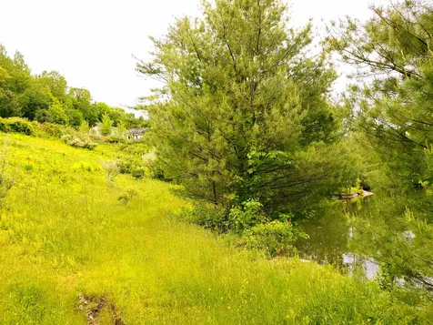 365 Dodge Road Chester VT 05143