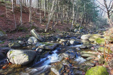 628 South Wardsboro Road Newfane VT 05345