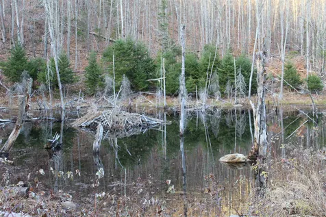 1225 Walker Hill Road Lisbon NH 03585