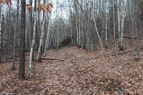 1225 Walker Hill Road Lisbon NH 03585