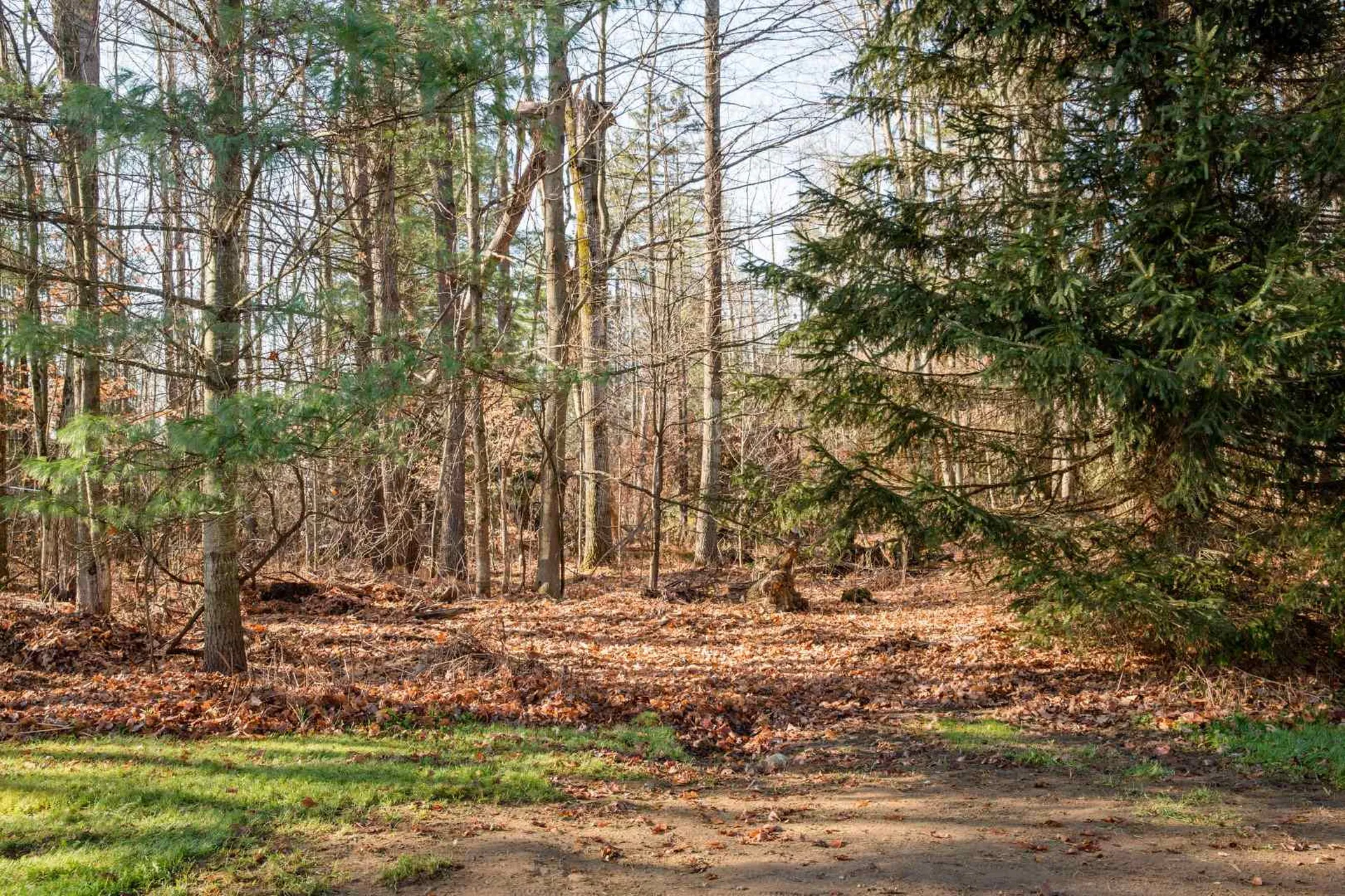70 Sunnyview Drive Jericho VT 05465