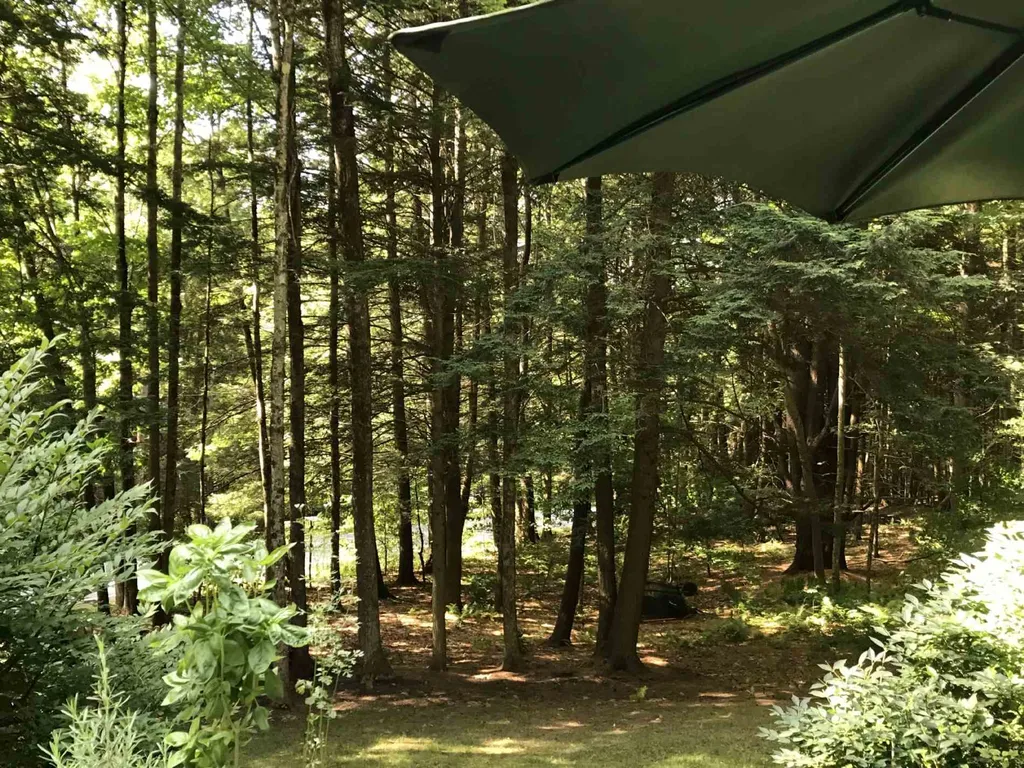 320 Jay Hill Road Hartford VT 05001