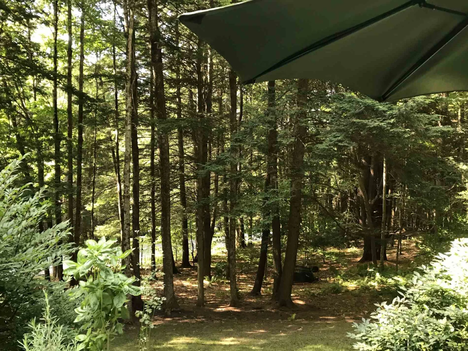 320 Jay Hill Road Hartford VT 05001