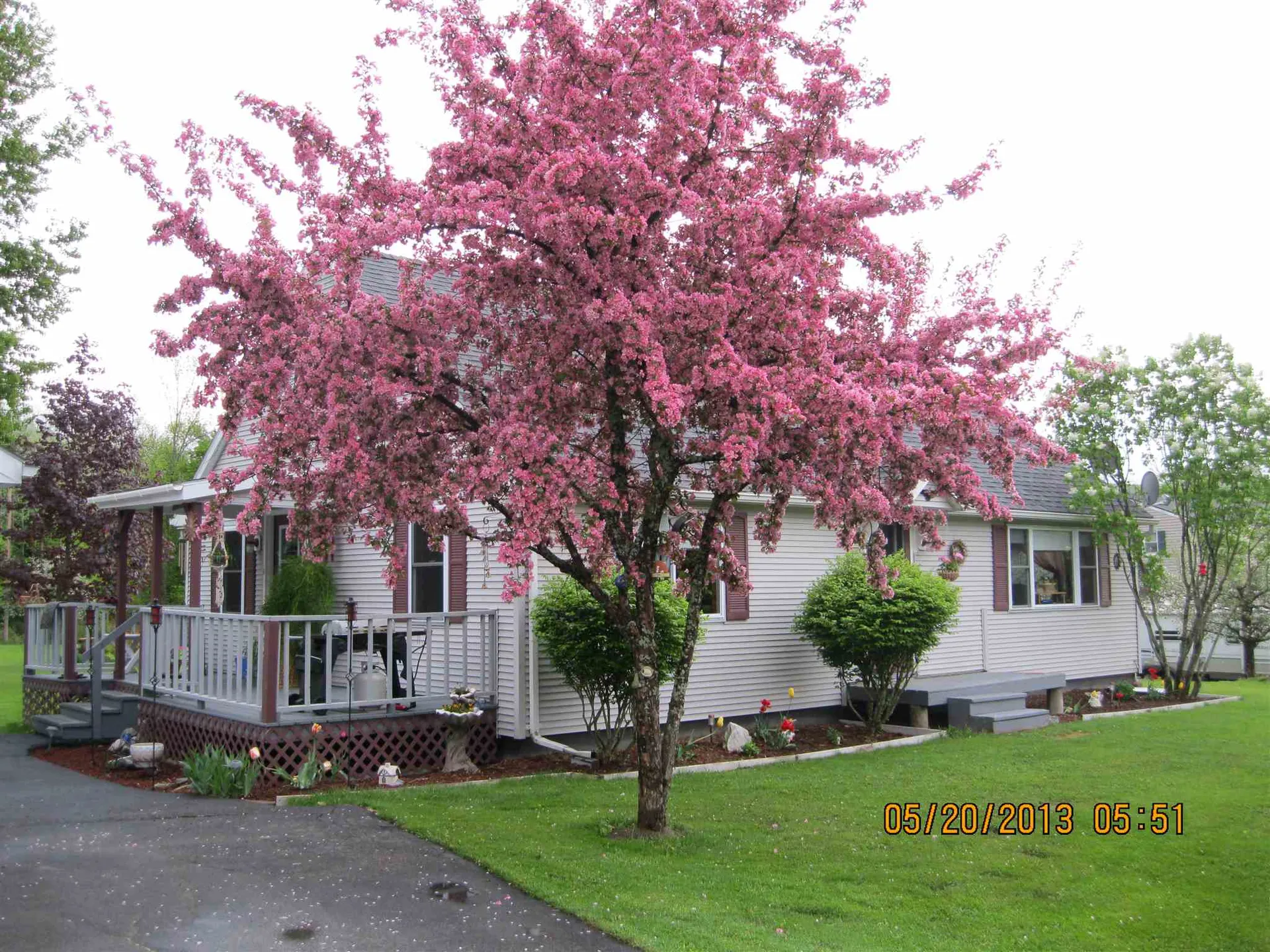 49 Felicity 2nd Avenue Williamstown VT 05679
