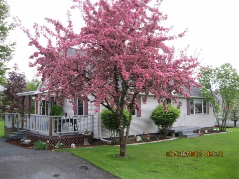 49 Felicity 2nd Avenue Williamstown VT 05679
