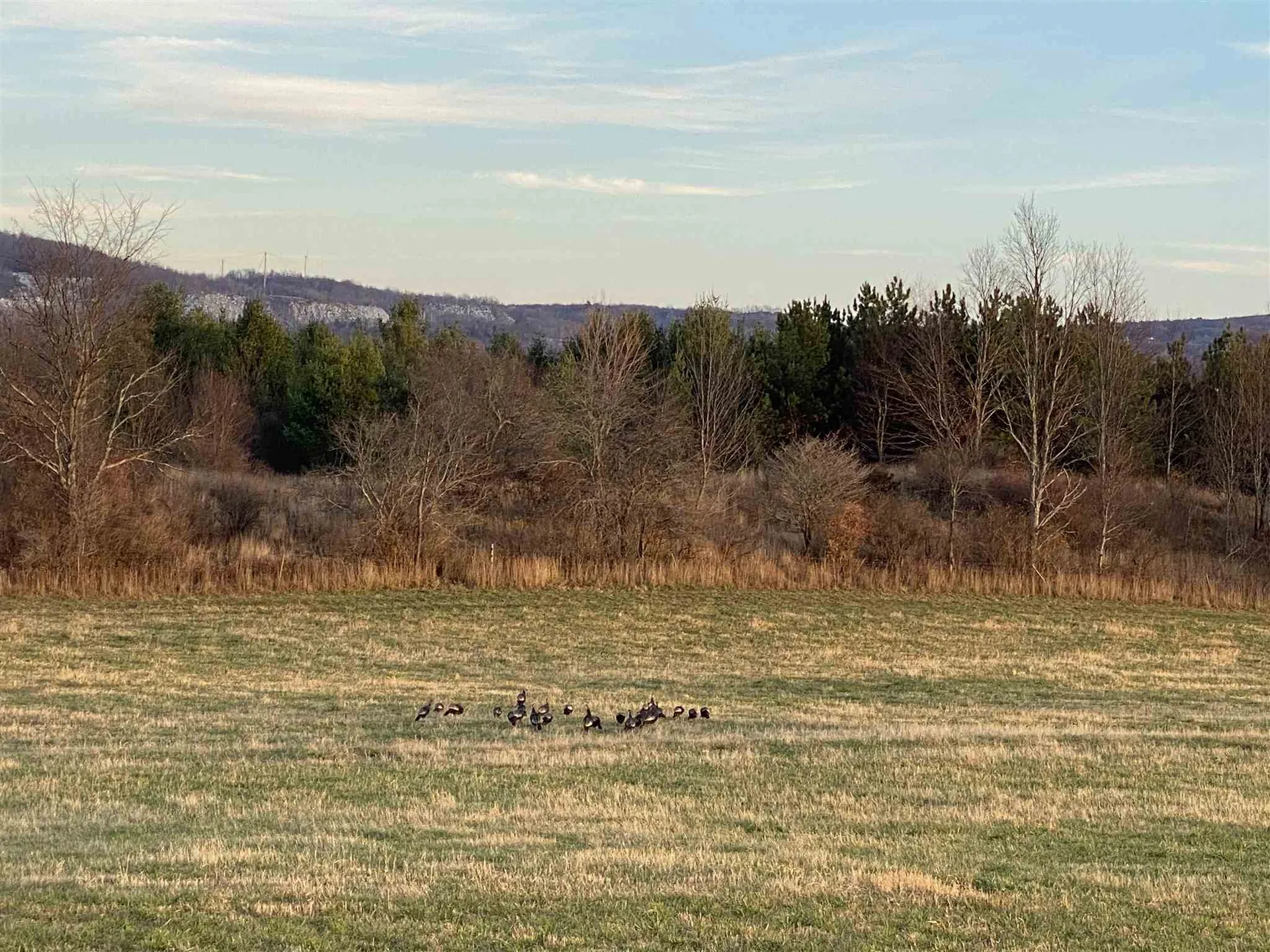 89 Lower Usle Road Barre Town VT 05641