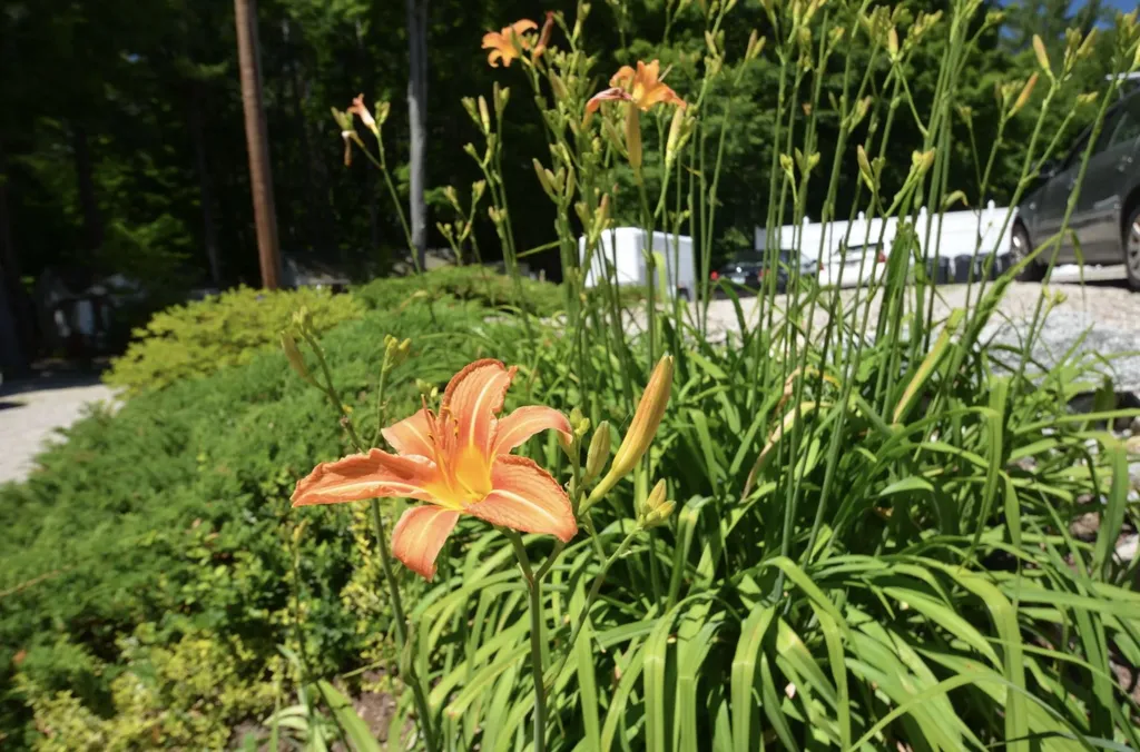 54 Center Street Wolfeboro NH 03894