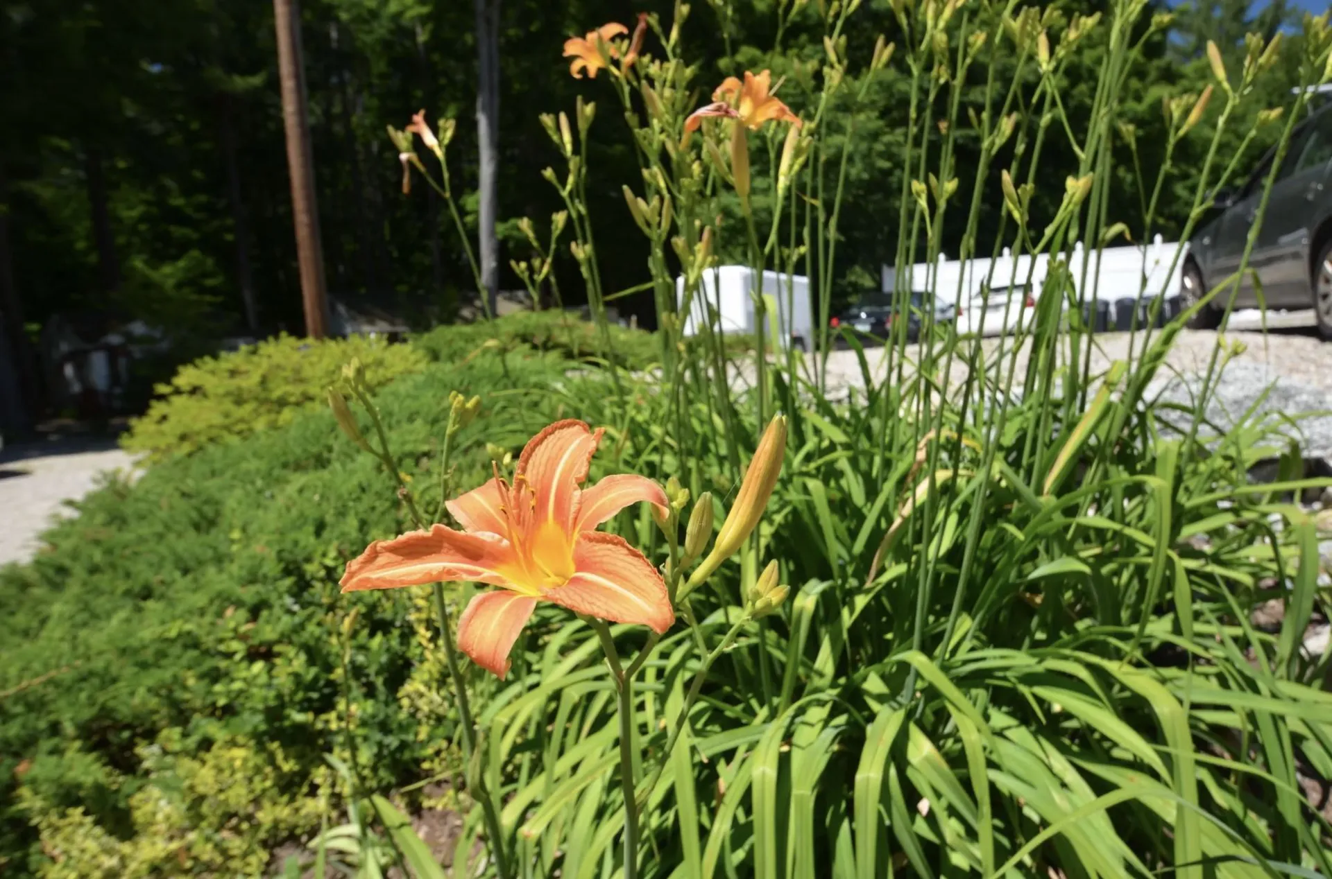 54 Center Street Wolfeboro NH 03894