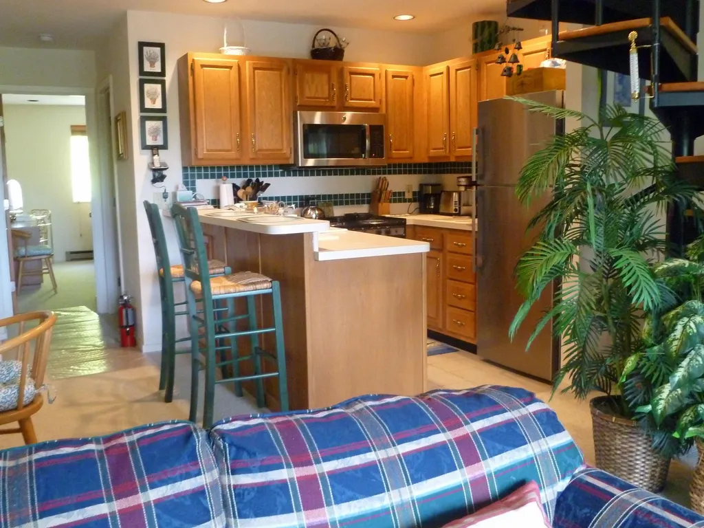 Unit 11 161 Mountainside Drive Warren VT 05674