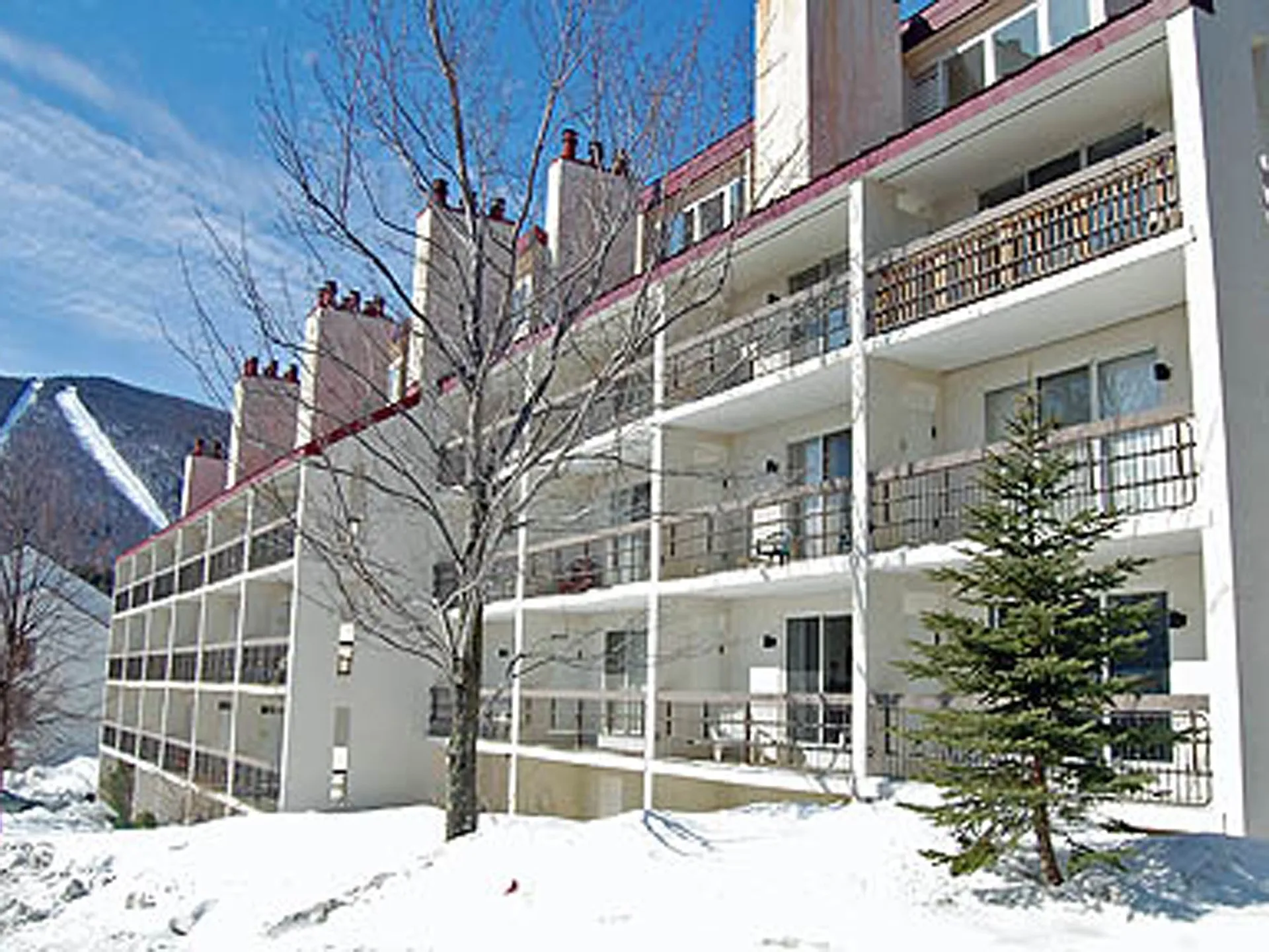Unit 11 161 Mountainside Drive Warren VT 05674