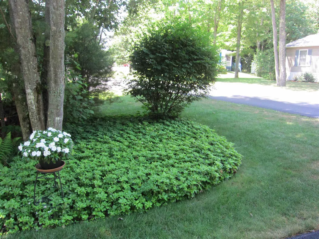 5 Murray Drive Rochester NH 03868