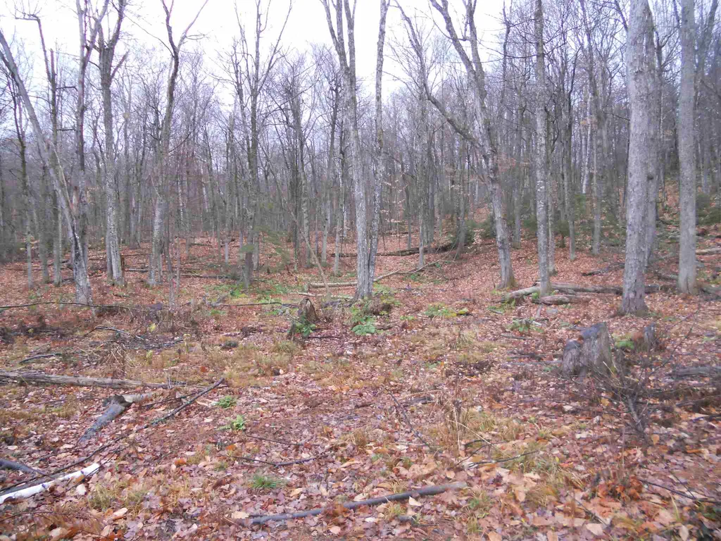 1053 Miller Pond Road Grantham NH 03753