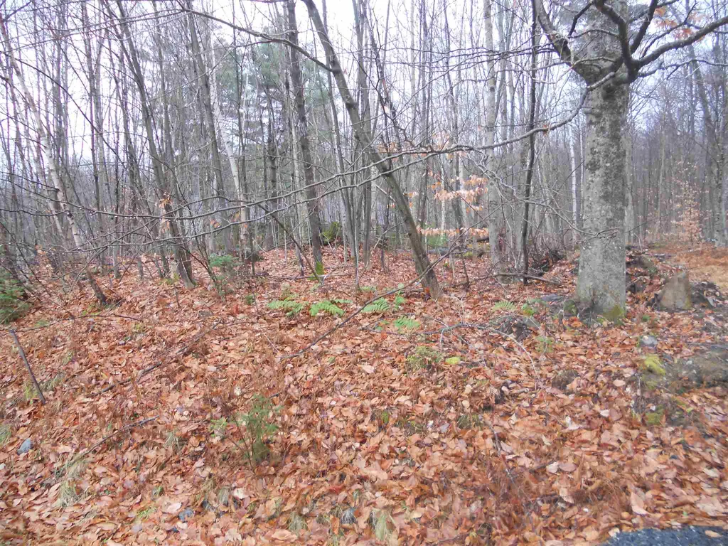 1053 Miller Pond Road Grantham NH 03753