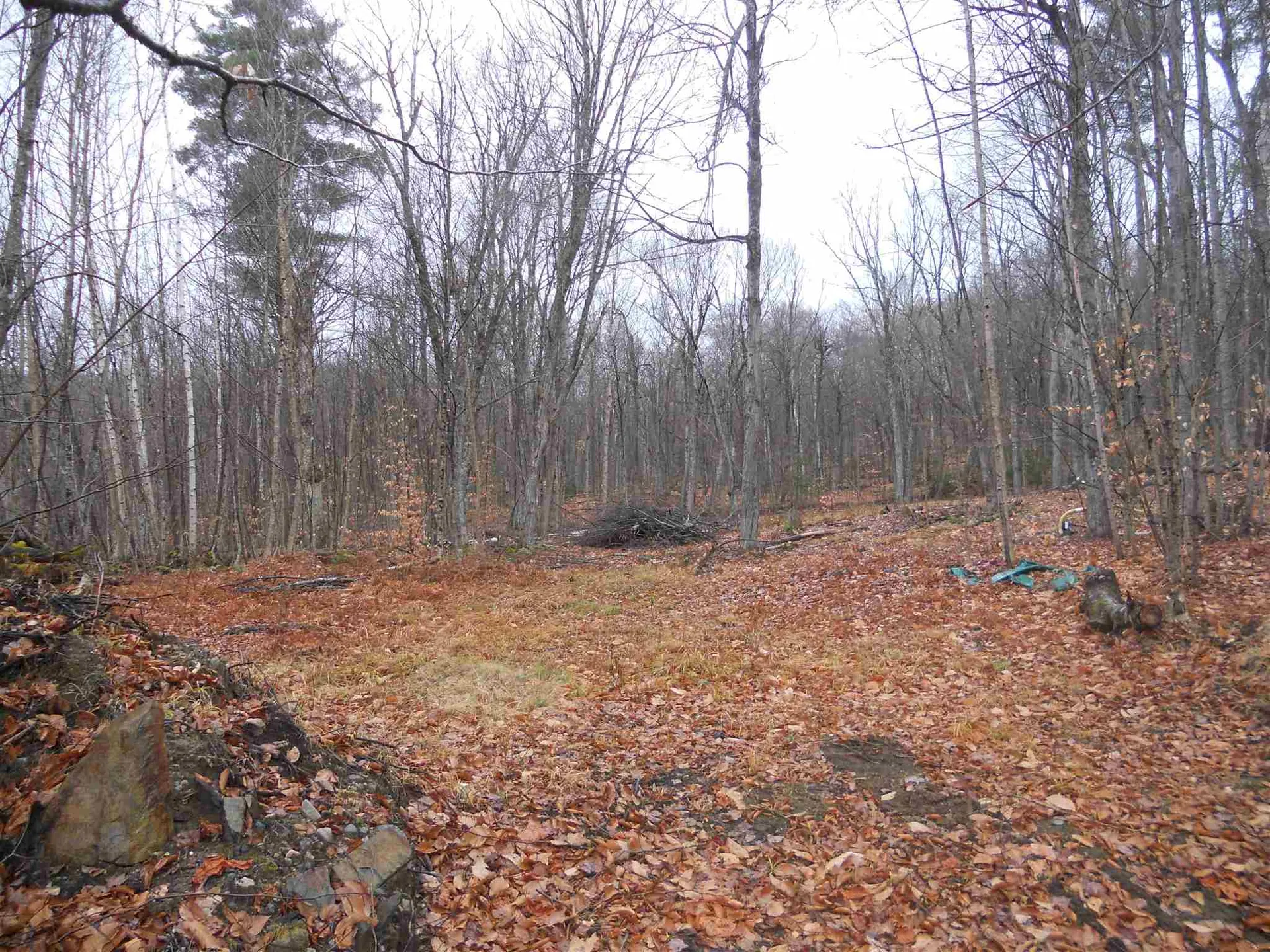 1053 Miller Pond Road Grantham NH 03753