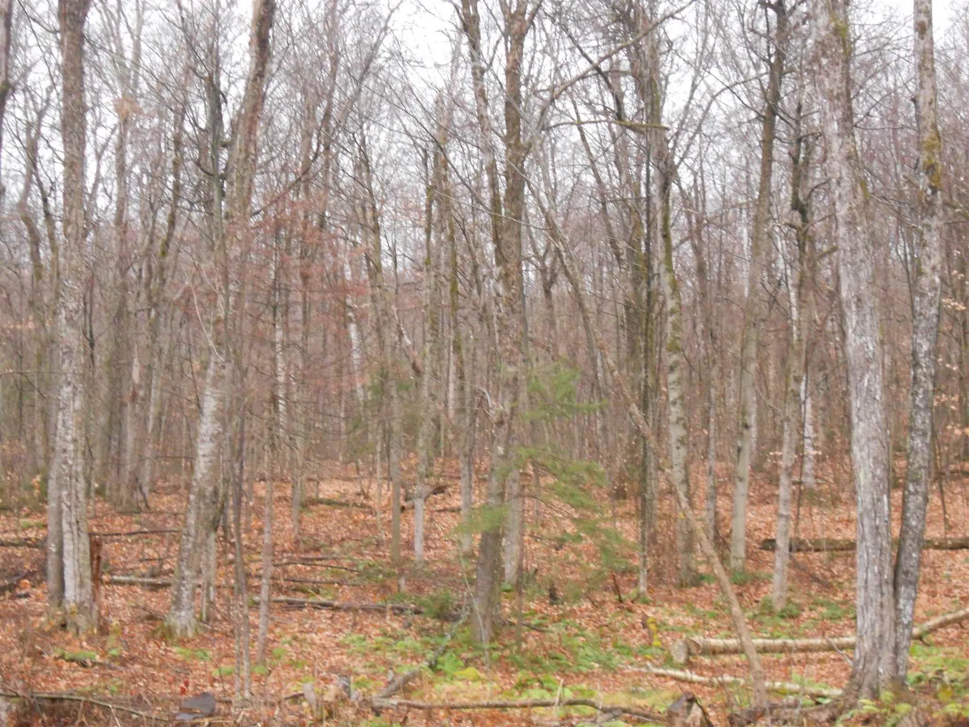 1053 Miller Pond Road Grantham NH 03753
