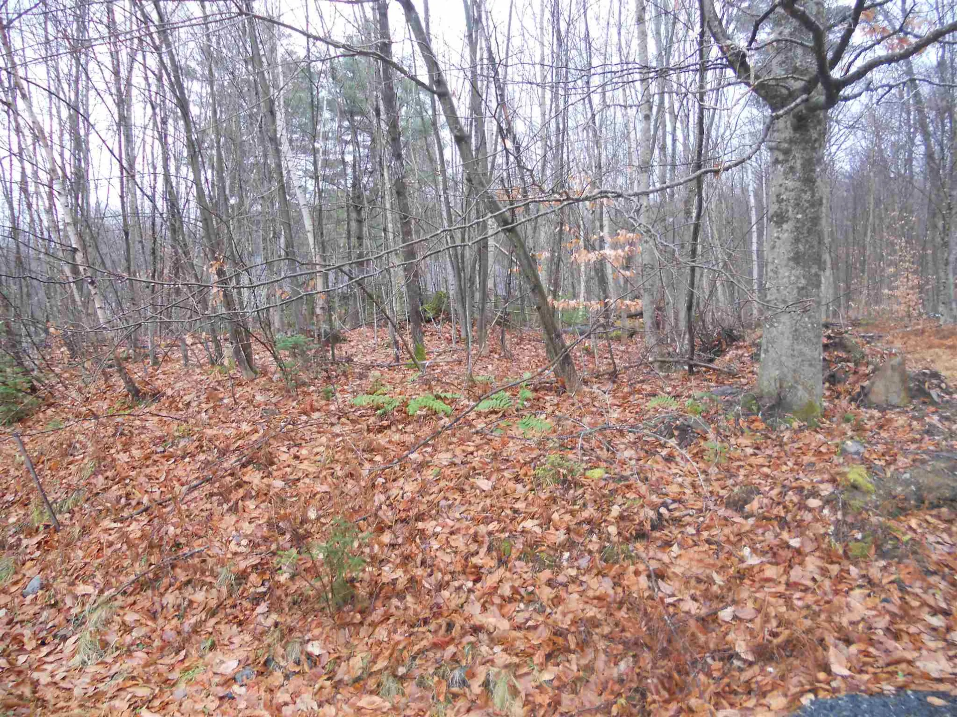 1053 Miller Pond Road Grantham NH 03753