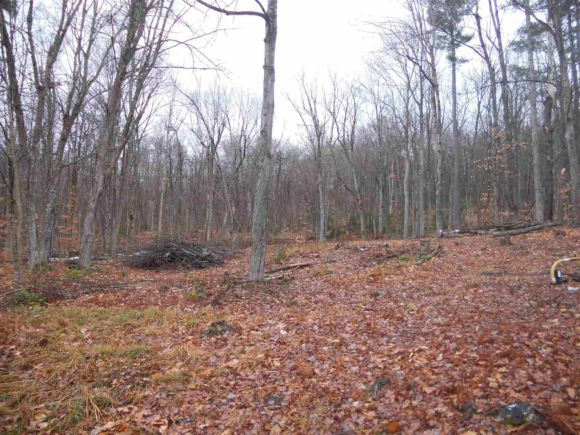 1053 Miller Pond Road Grantham NH 03753