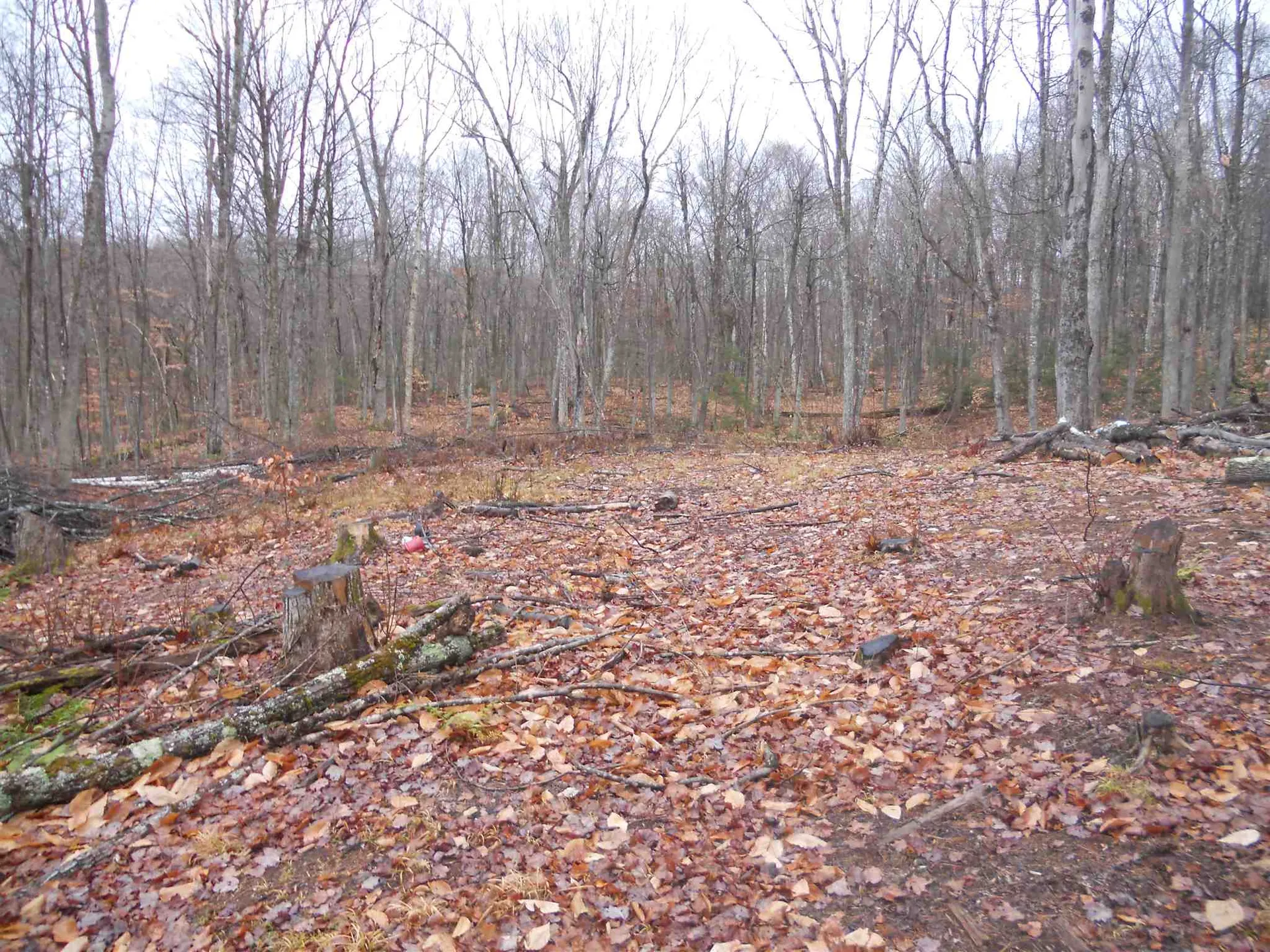 1053 Miller Pond Road Grantham NH 03753