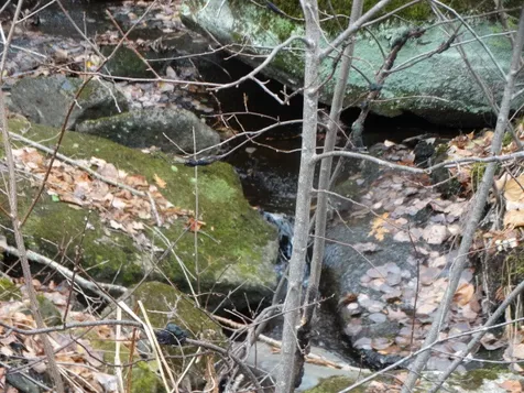 13 Toad Pond Road Morgan VT 05853