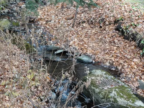 13 Toad Pond Road Morgan VT 05853