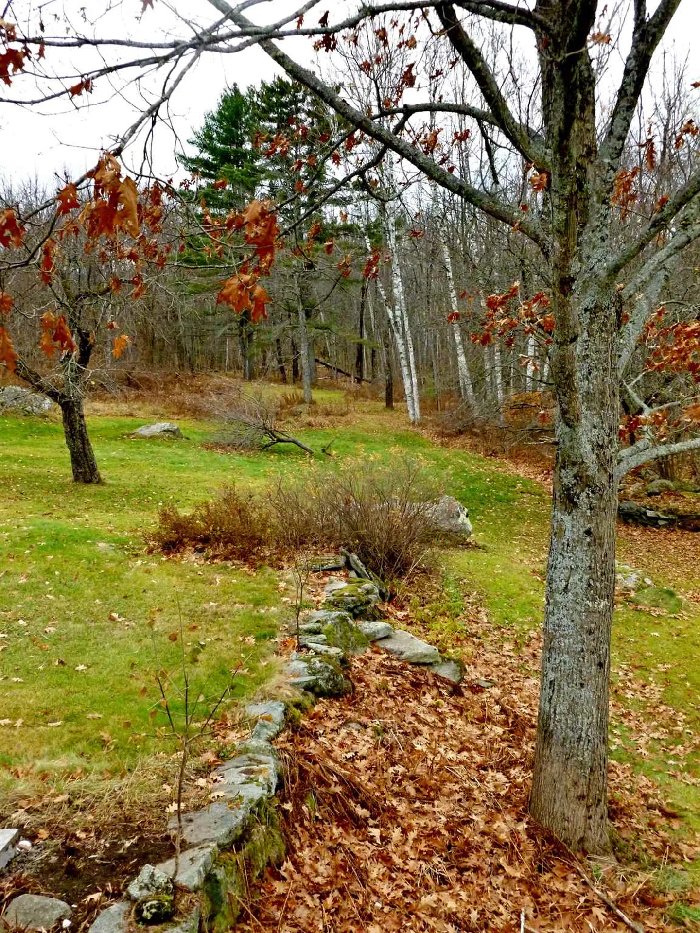 6 Lehan Road Bethlehem NH 03574