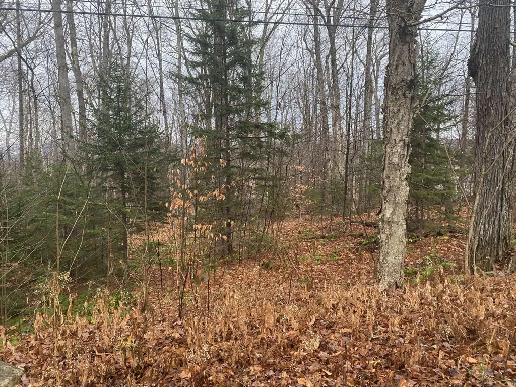 44 West Hill Road Jamaica VT 05343