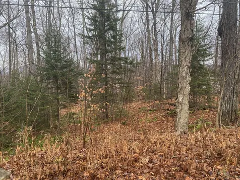 44 West Hill Road Jamaica VT 05343