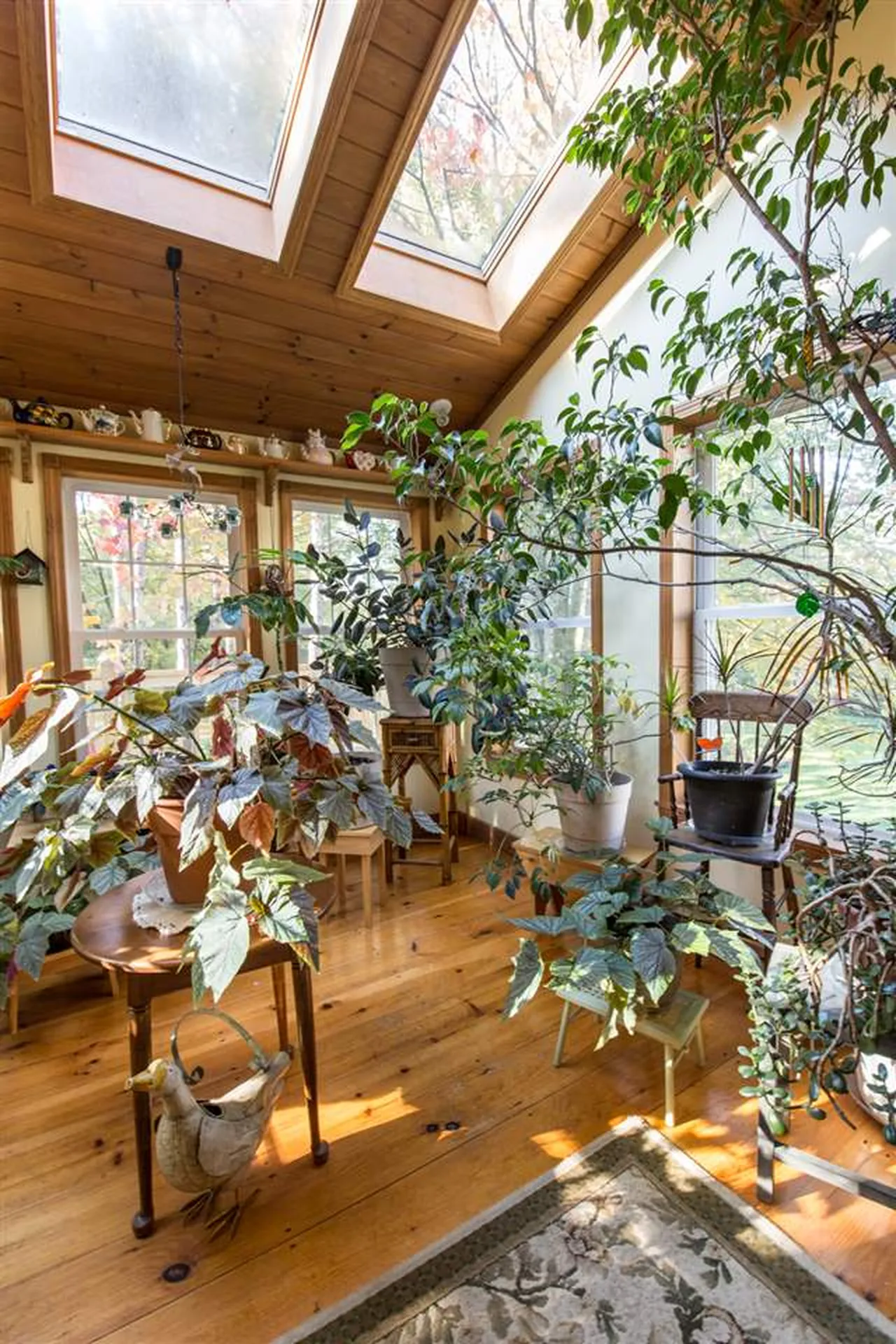222 Tamarack Drive Williston VT 05495
