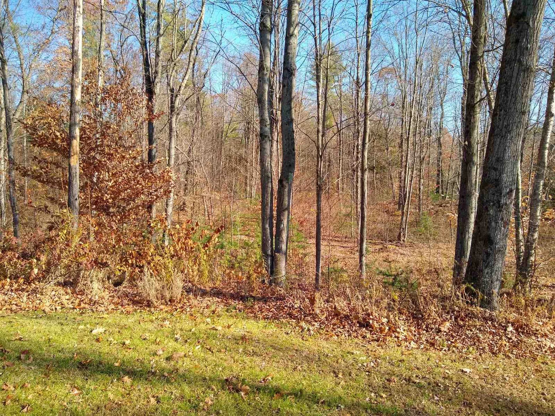 111 South Parrish Road Winchester NH 03470